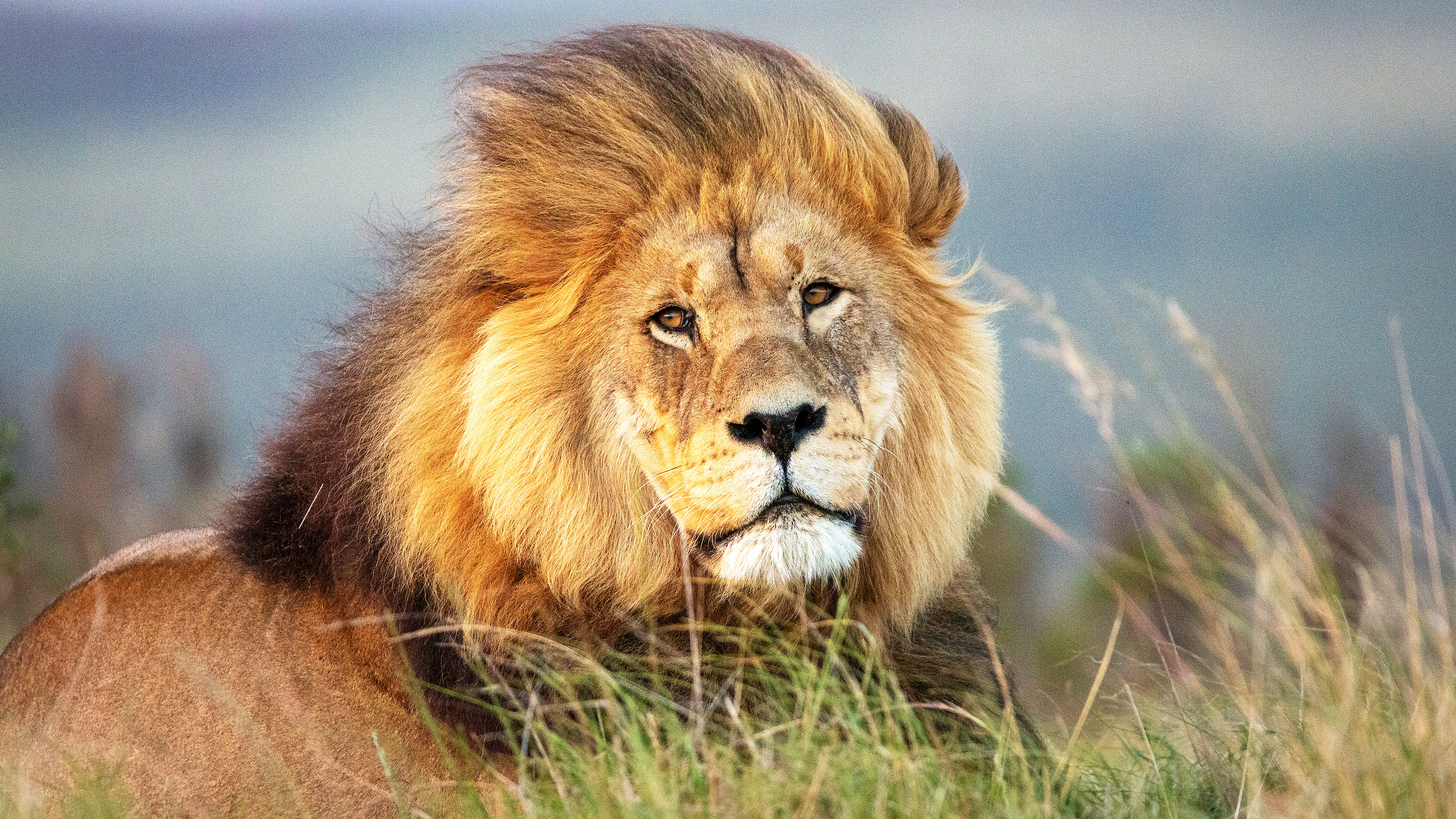 Mejoramiento Personal